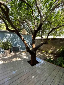 Serene Getaway Casita w/ Patio + Deck - Image 4