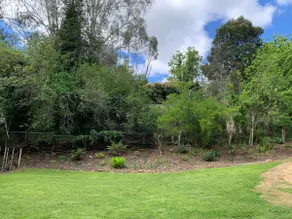 Kookas is Nash - Image 3