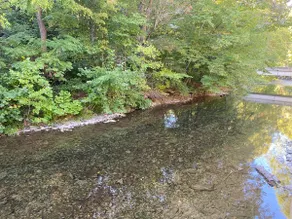 Creekside Cottage Next to Knoebels Amusement Resort. Large Yard, Fire Pit, Patio - Image 4