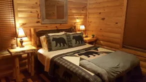 Lovely Bear Cabin on the White River - Image 2