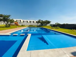 Vacation home. Escape to the eternal spring! - Image 3