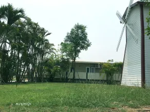 The Windmill Garden - Image 2