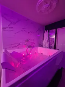 Private setting - Jacuzzi - Terrace - Bordeaux - Parking - Image 5