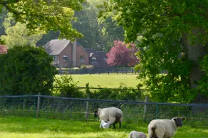 The Annex, Westerlands, Graffham - Image 2