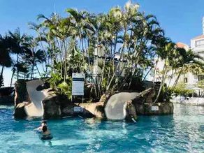 Gold Coast Calypso Plaza Suites Coolangatta Beach - Image 5