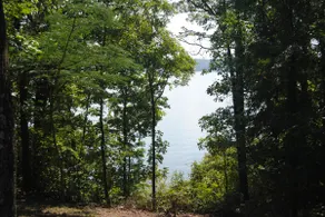 Lake House on Beautiful Kentucky Lake! - Image 3