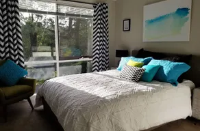 Funky, art-inspired, SC getaway | Leafy location - Image 2