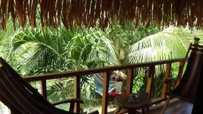 Town Center Private Apt., see Jungle, hear Surf, - Image 3