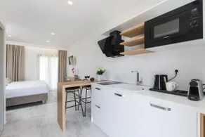 Standard Double | V Luxury Suites - Image 4
