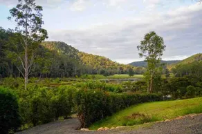 Laguna Sanctuary - Image 3
