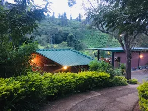 Wild Resort Ella - Image 5