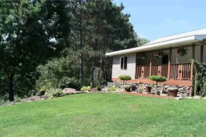 Country Cabin in a Perfect Location! - Image 3