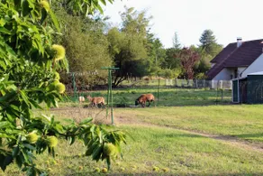 Ô Lilas, your cottage in the heart of Sologne - Image 3
