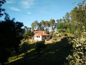 Olive Meadow Mountain Cottage - Image 3