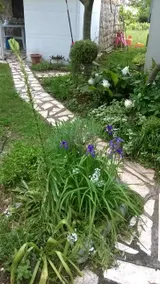 Apartman Mimi - Image 5