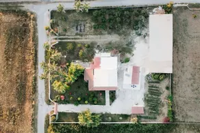 Stella's Holiday House - Image 3