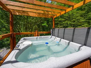 Mt Views, HotTub, Game/Theatre Rm, Mins to PF! - Image 4