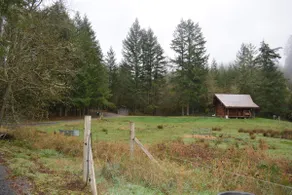 Cabin In The Wildwood - Image 3