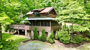 Authentic, Peaceful Cabin w/hot tub near Asheville - Image 3