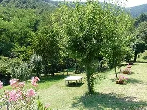 GIRASOLE (sleeps 4) Farmhouse ”SERACINO” - Image 3
