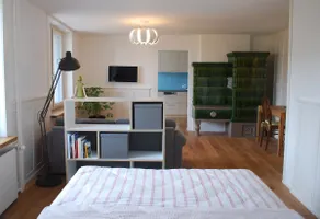Winterthur - Bright apartment with a large balcony - Image 2