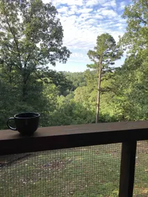 Safe, Clean, and Secluded - Cabin Close to Town - Image 3