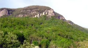 Chimney Rock Inn - Mimosa - Image 2