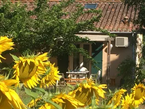 The Sunflowers of Fiouzaire - Image 4