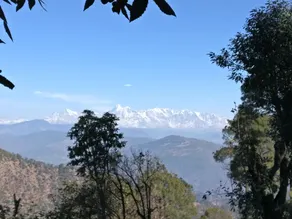 Blue Cottage, near Jim Corbett (2 hrs drive) - Image 3