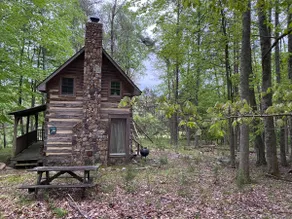 Little Cabin in the Woods is quiet and secluded! - Image 4