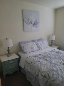 The Comfy Lemon - Image 4