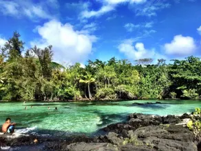 Epic Oceanfront Penthouse with Best Views in Hilo! - Image 5
