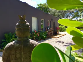 Tropical Oasis studio - Image 4