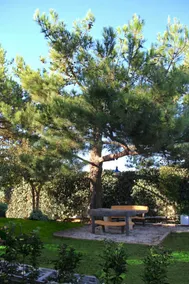 Villa Kazantzakis - Image 3
