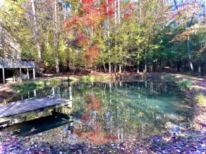 Dahlonega Dock Cabin - Hot Tub/Private Pond&Creek! - Image 4