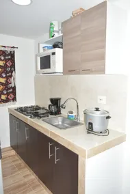 Spacious apartment near the airport, mountain view - Image 4