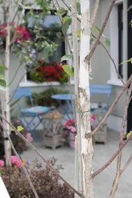 Luxury self catering accommodation - Image 5