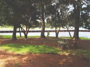 Freshly Remodeled on St. Simons - Image 4