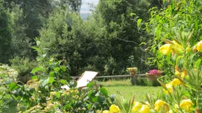 in the green and in the Tuscan silence - Image 4