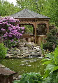 3 acre A-frame In Amish Farmland - Image 3