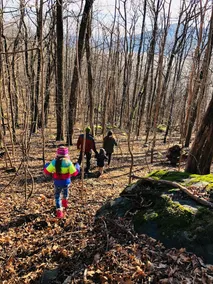 Saltbox at Wintergreen, a Modern Mountain Escape - Image 5