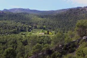 Cortijo Los Gorros - Image 3