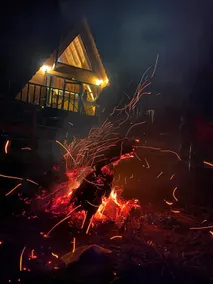 A night in the pine forest with a sea view. - Image 2