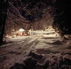 Sawdust city haus - Image 3