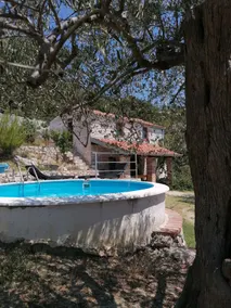 Earth home - Image 5
