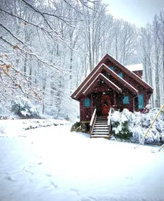 The Cottage - Image 2