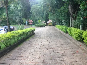 Beautiful farm for weekends and holidays - Image 4
