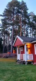 Cozy cottage among pine trees. - Image 4