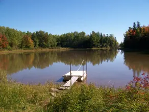 The Camp - Image 3