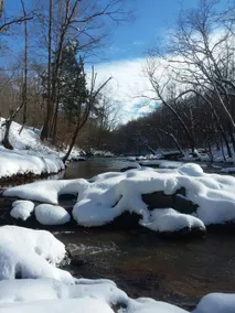 Cascading Water with Acres to Explore - Image 3
